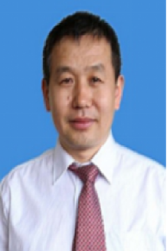 副会长