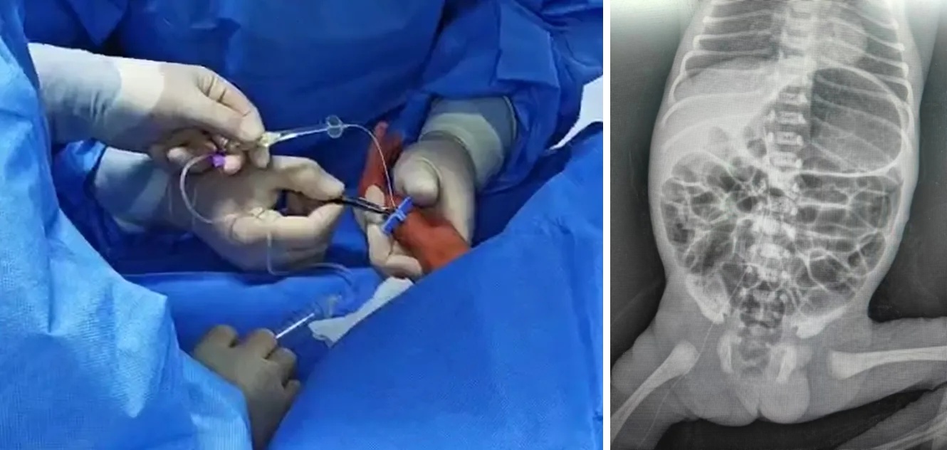 1725621004418139.jpg 1725621004418139.jpg