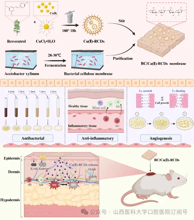 1726633958387287.jpg 1726633958387287.jpg