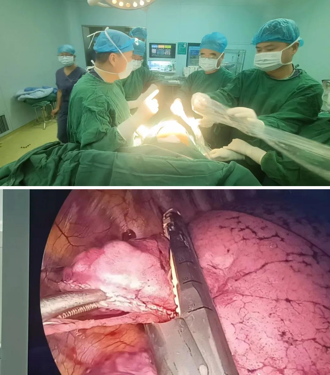 1727923507573355.jpg 1727923507573355.jpg