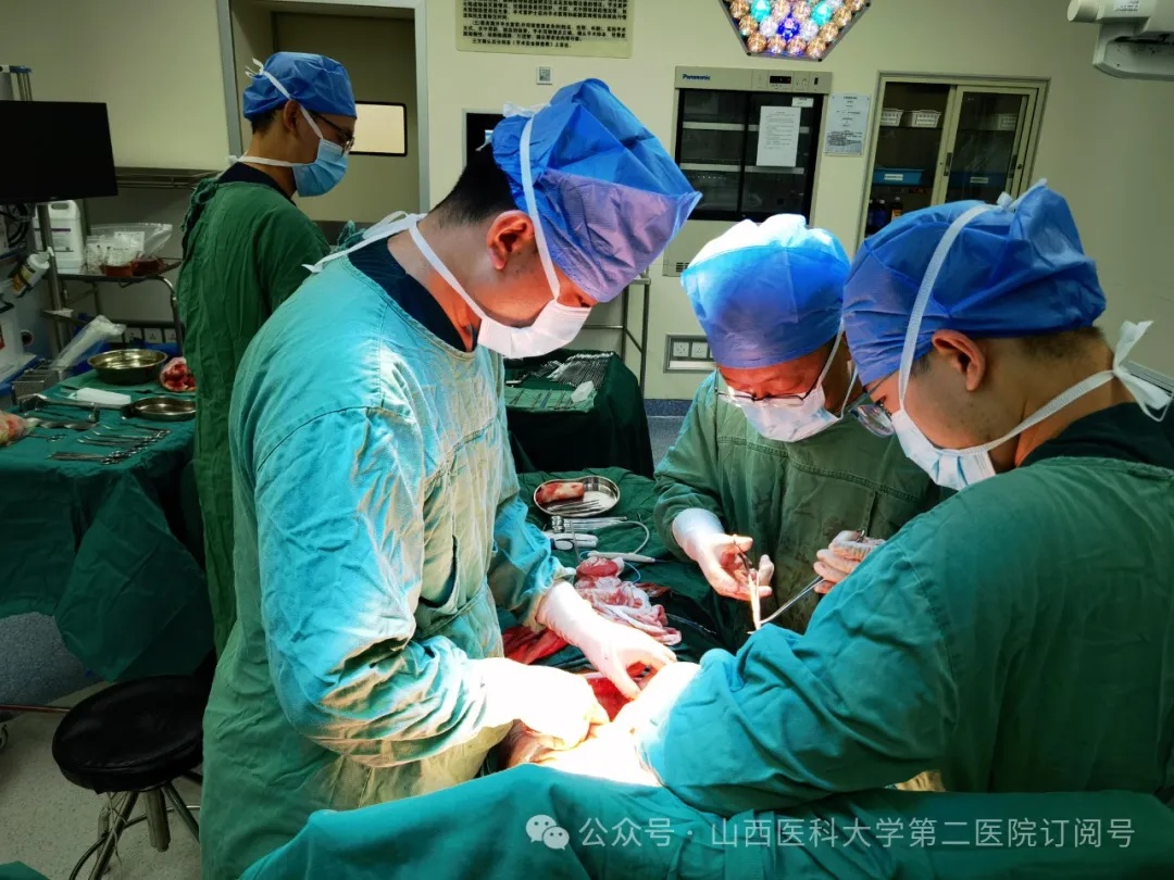 1729089507290679.jpg 1729089507290679.jpg