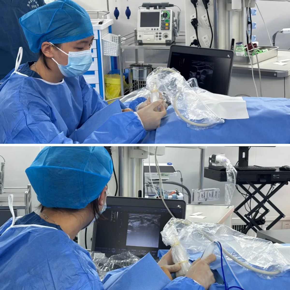 1729845382182669.jpg 1729845382182669.jpg