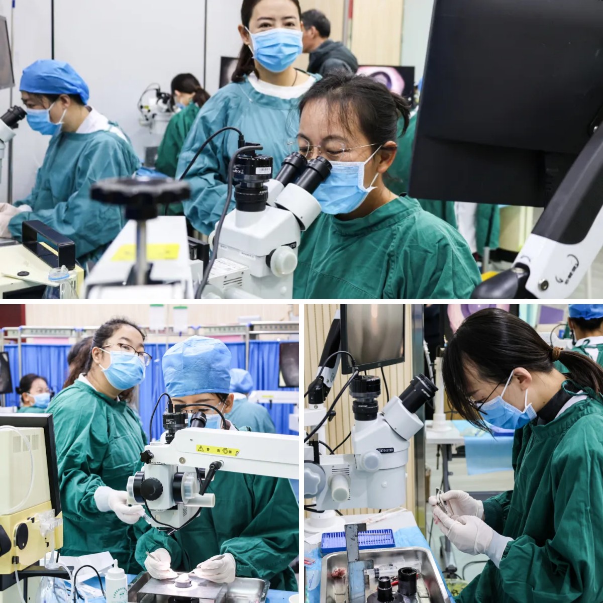 1733141194117119.jpg 1733141194117119.jpg