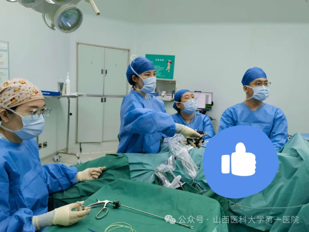 1733799747621809.jpg 1733799747621809.jpg