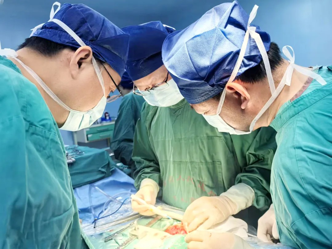 1734358936888089.jpg 1734358936888089.jpg