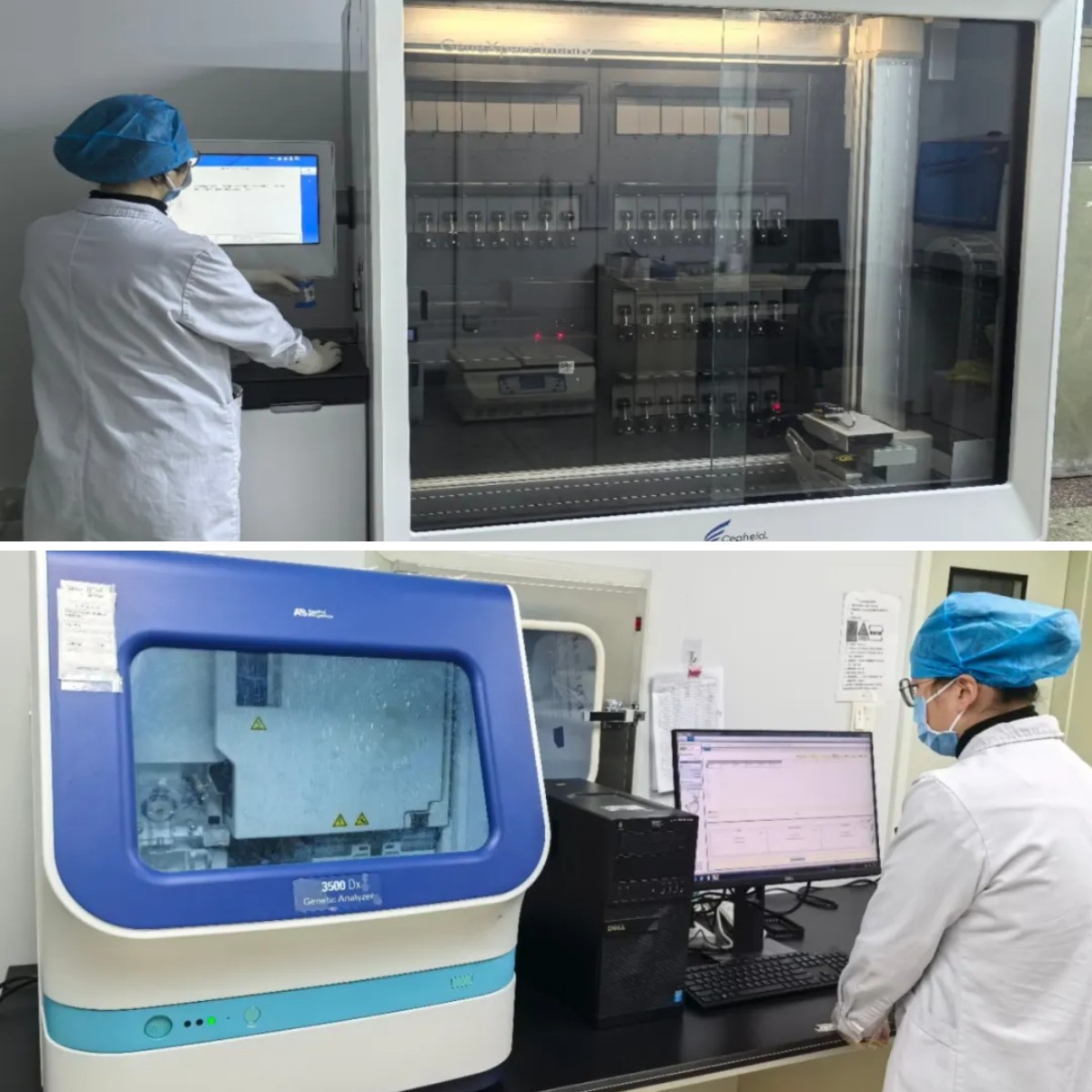 1736839072560876.jpg 1736839072560876.jpg