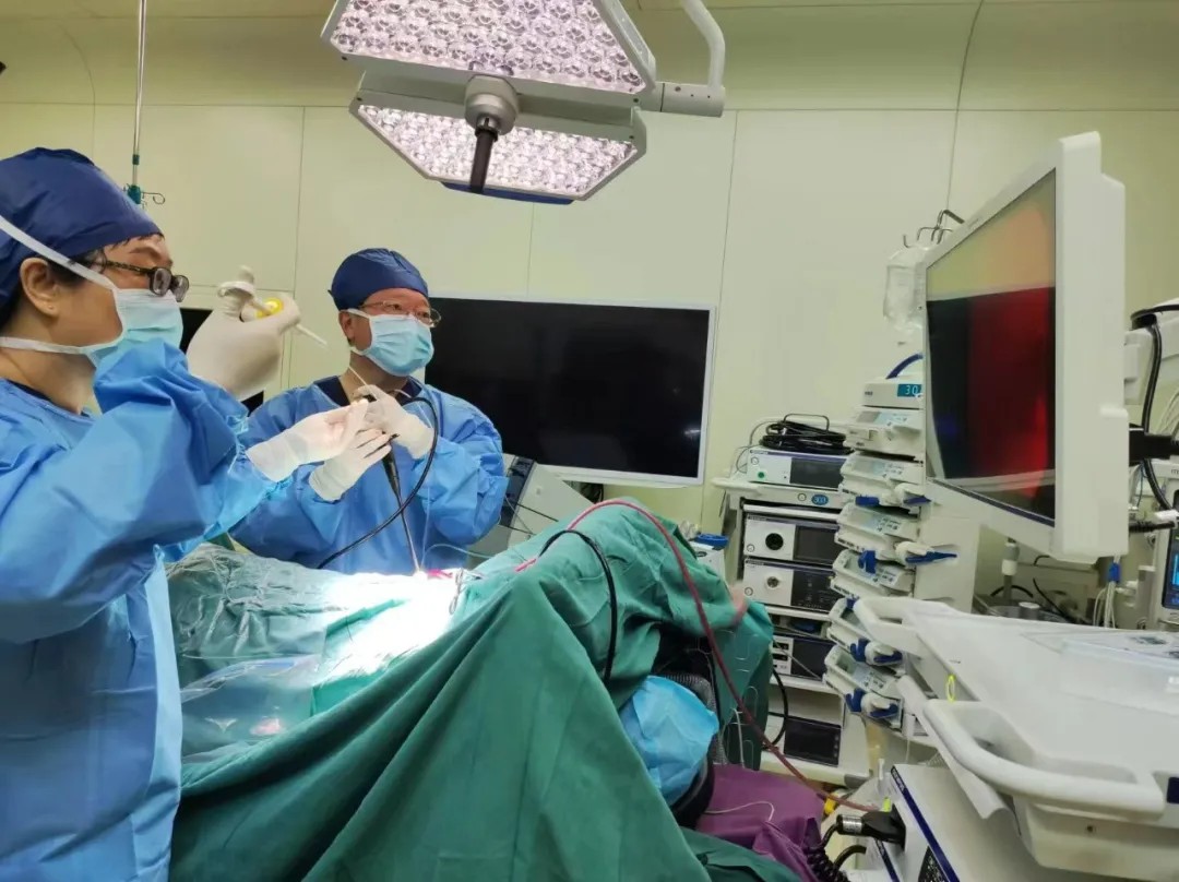 1737084282625036.jpg 1737084282625036.jpg