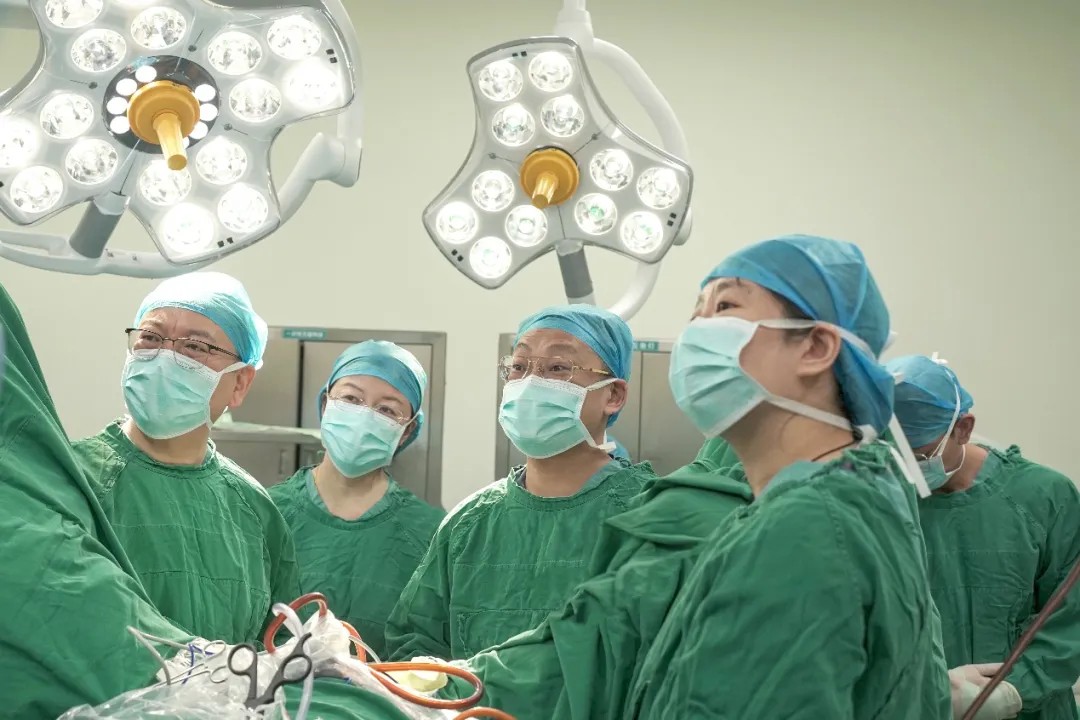 1737084329255049.jpg 1737084329255049.jpg