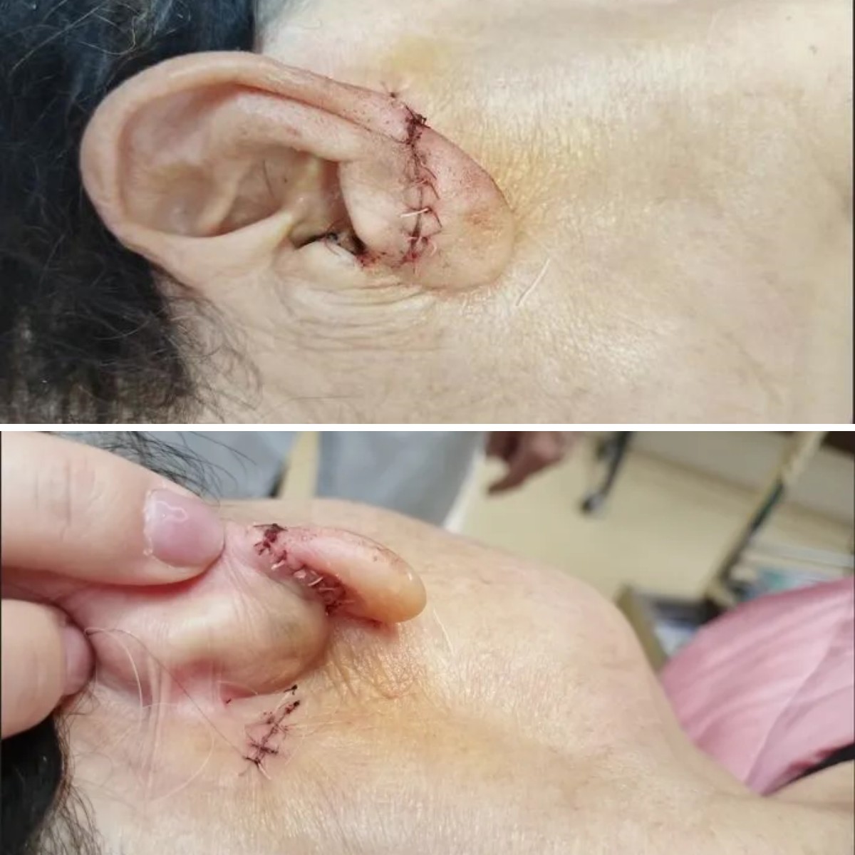 1738919366408543.jpg 1738919366408543.jpg