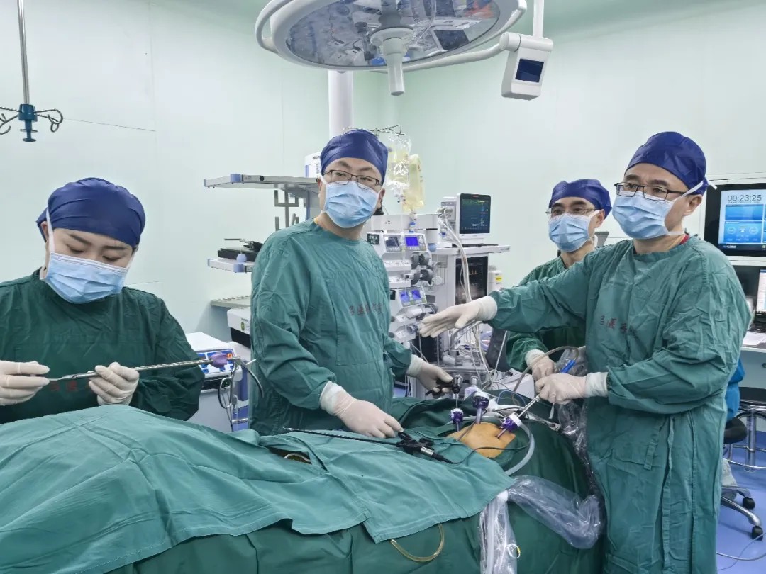 1739193619422055.jpg 1739193619422055.jpg