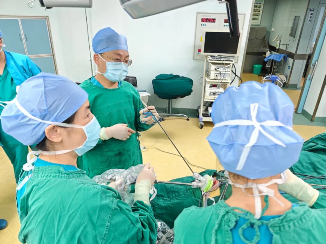 1739678740269034.jpg 1739678740269034.jpg