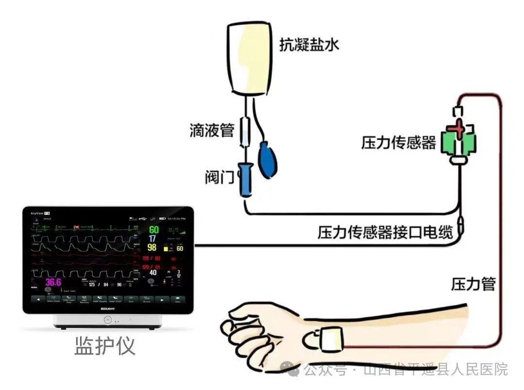 1740209074545298.jpg 1740209074545298.jpg