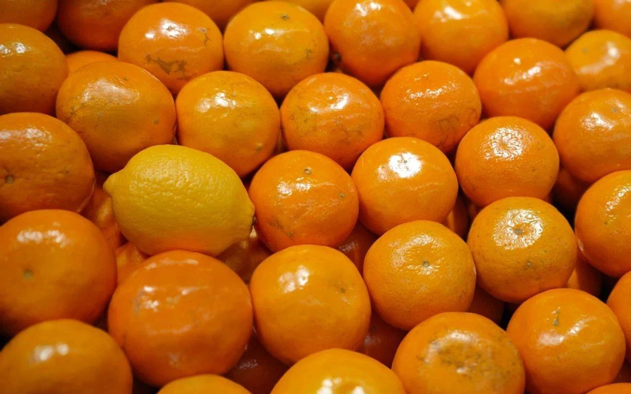 1750937189                  </text>
                  <text class=