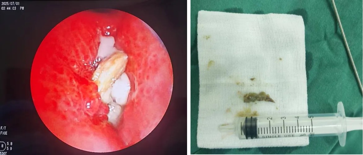 1751782743301136.jpg 1751782743301136.jpg