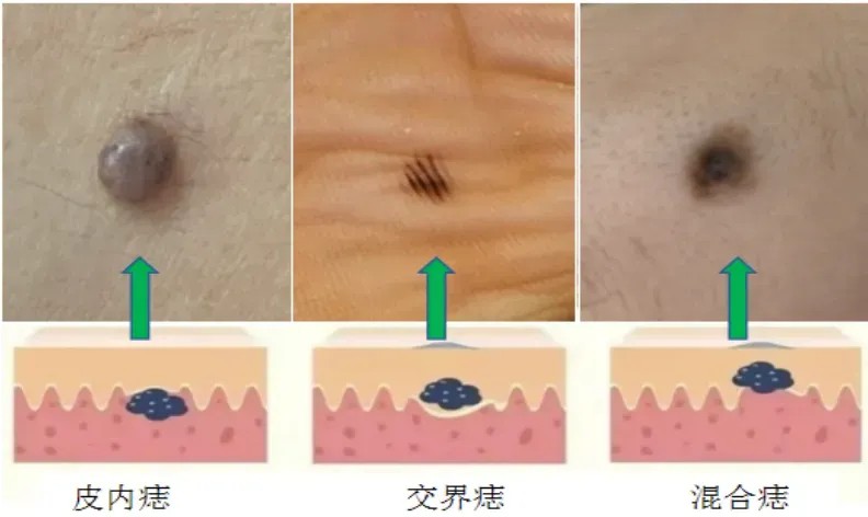 1753543626107579.jpg 1753543626107579.jpg